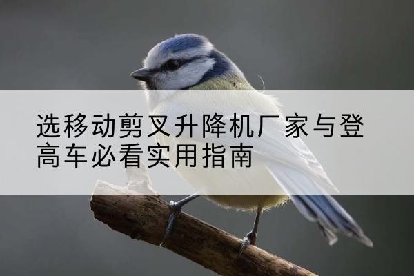 独山子电动升降机厂家-选移动剪叉升降机厂家与登高车必看实用指南