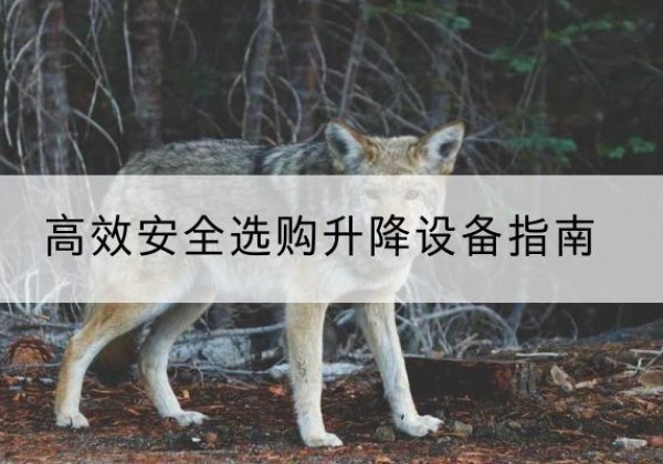 独山子升降货梯厂家推荐-*安全选购升降设备指南